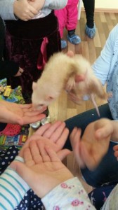 встреча с животными в детском центре наши дети в Марьино (105)