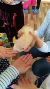 встреча с животными в детском центре наши дети в Марьино (106)