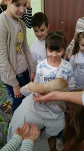 встреча с животными в детском центре наши дети в Марьино (111)