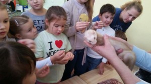 встреча с животными в детском центре наши дети в Марьино (115)