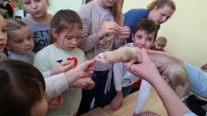встреча с животными в детском центре наши дети в Марьино (137)
