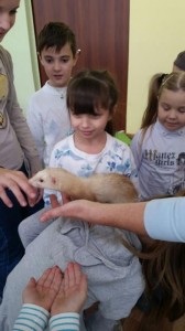 встреча с животными в детском центре наши дети в Марьино (141)