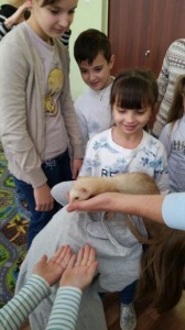 встреча с животными в детском центре наши дети в Марьино (142)