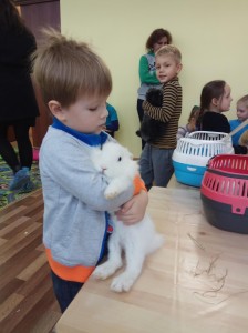 встреча с животными в детском центре наши дети в Марьино (20)