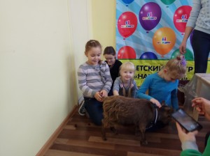 встреча с животными в детском центре наши дети в Марьино (35)