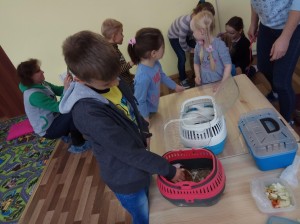 встреча с животными в детском центре наши дети в Марьино (36)
