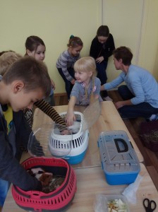 встреча с животными в детском центре наши дети в Марьино (37)