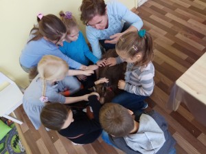 встреча с животными в детском центре наши дети в Марьино (43)