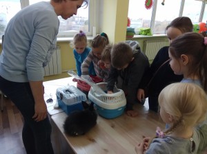 встреча с животными в детском центре наши дети в Марьино (44)